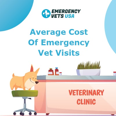 Average Cost Of Emergency Vet Visits In 