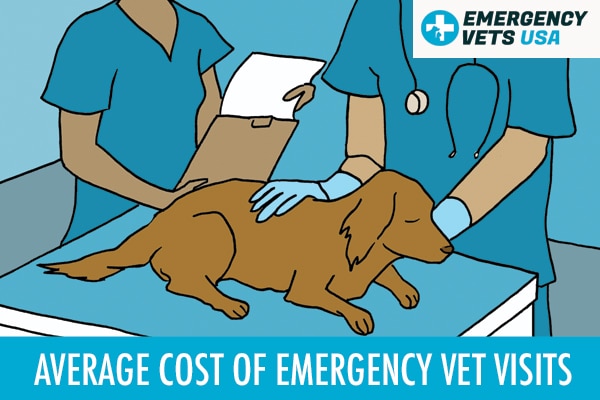 cost of dog er visit