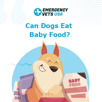 Can Dogs Eat Baby Food