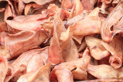 Dried Pigs Ears For Dogs