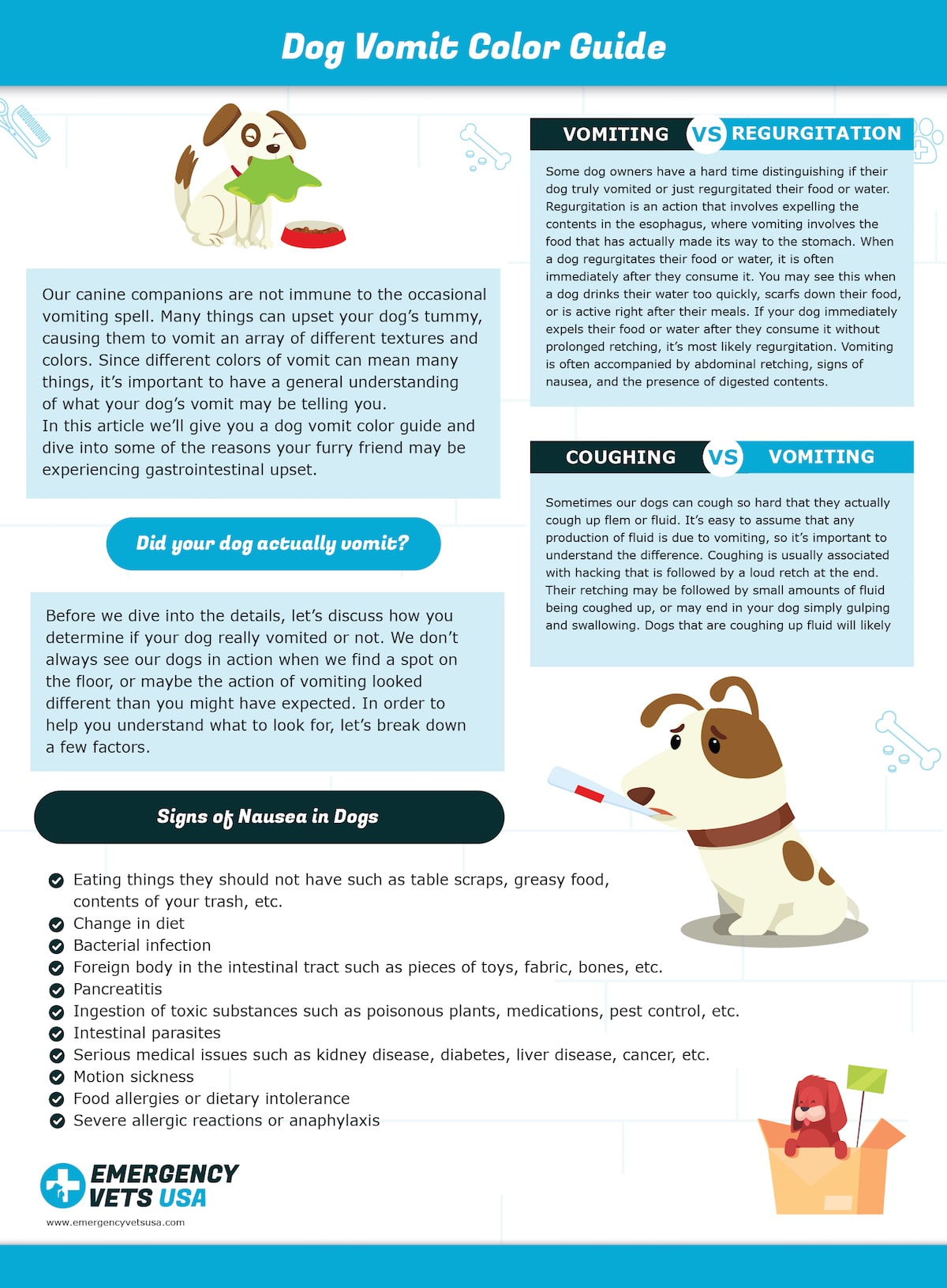 What causes a dog to vomit green bile