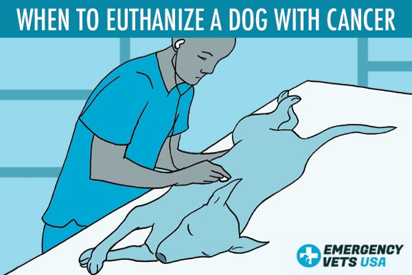 When To Euthanize A Dog With Cancer