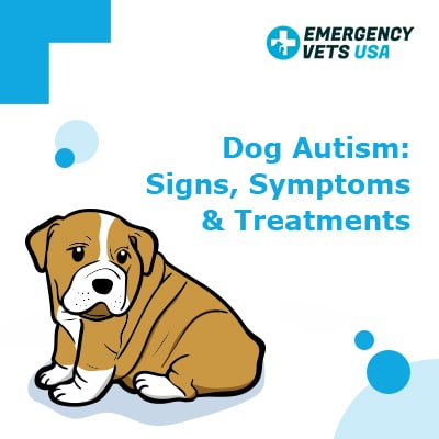 can a dog be diagnosed with autism