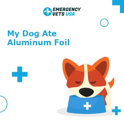 is tin foil harmful to dogs