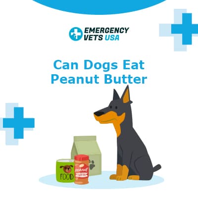 Is peanut butter dangerous hotsell for dogs