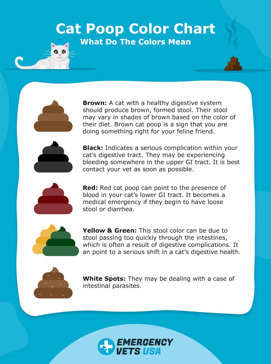 stool color chart what different poop colors mean 25 doctors - poop ...