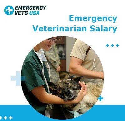 Emergency Vet Salary