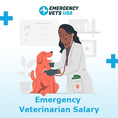 Emergency Veterinarian Salary