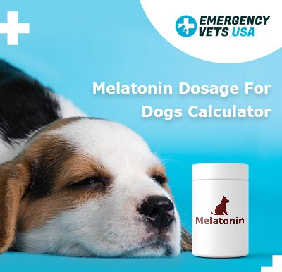 Melatonin Dosage For Dogs