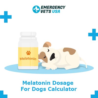 Melatonin Dosage For Dogs Calculator