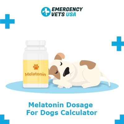 Melatonin Dosage For Dogs Calculator And Chart How Much To Provide