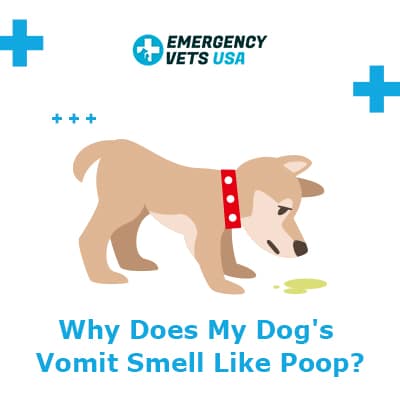 poop vomit smelling smells