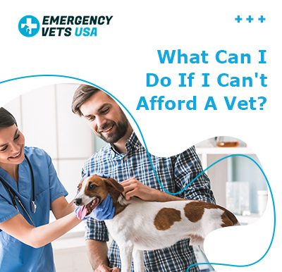 Cant Afford A Vet