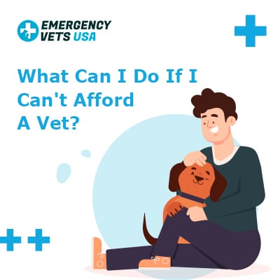 What To Do If You Can't Afford A Vet