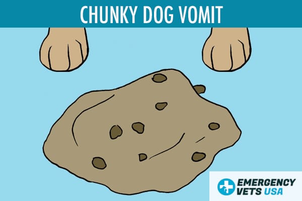Chunky Dog Vomit