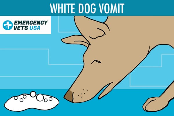 White Dog Vomit