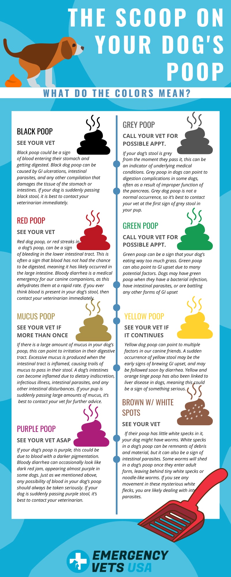 Dog Poop Color Chart Infographic