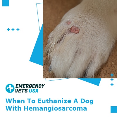how long will my dog live with hemangiosarcoma