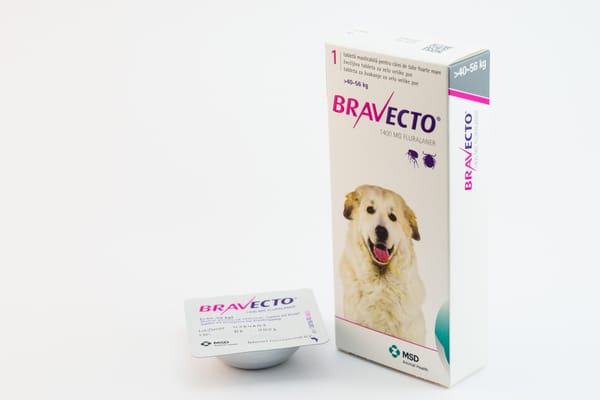 does bravecto cause diarrhea in dogs