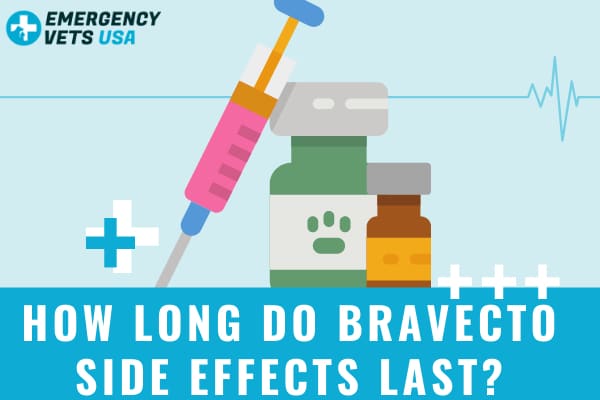 How Long Do Bravecto Side Effects Last