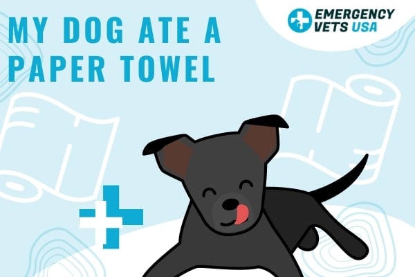 Dog swallowed paper outlet towel