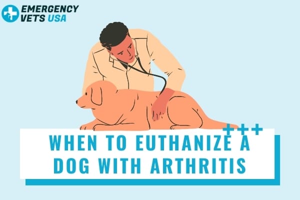 When To Euthanize A Dog With Arthritis
