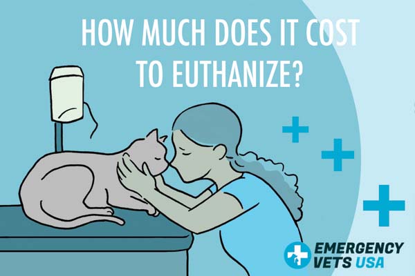 How Much Does It Cost To Euthanize A Dog Or Cat? (2022)