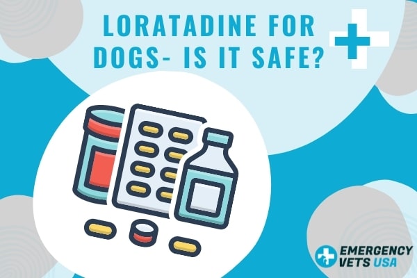 Loratadine For Dogs