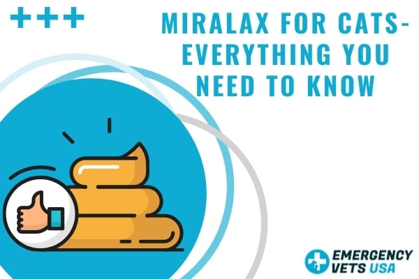 Miralax cats hotsell kidney disease