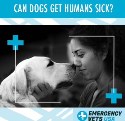 Dogs Get Humans Sick