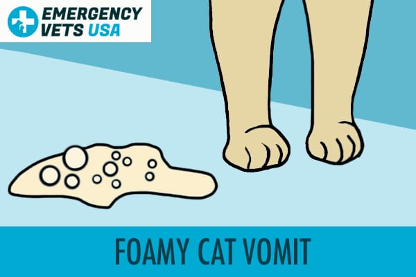 Foamy Cat Vomit