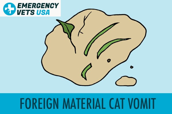 Foreign Material Cat Vomit