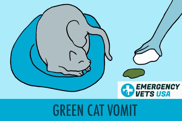 Green Cat Vomit