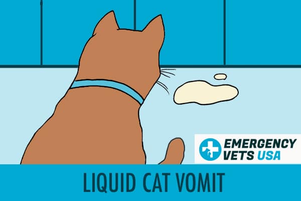 Liquid Cat Vomit