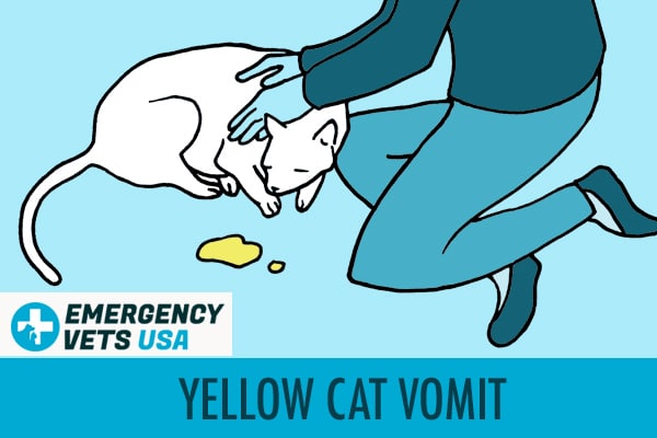 Yellow Cat Vomit