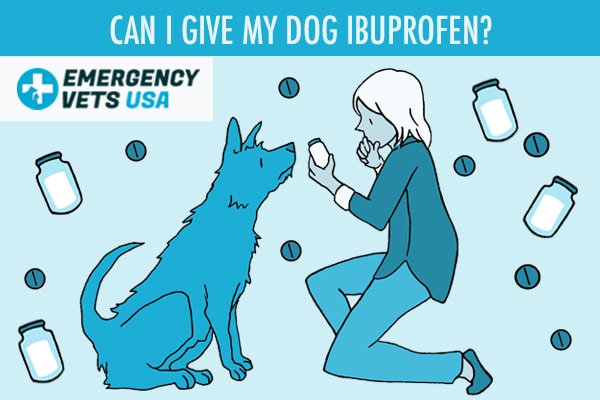 Can I Give My Dog Ibuprofen