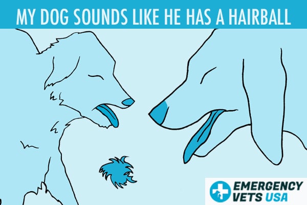 Dog Sounds Like He Has A Hairball