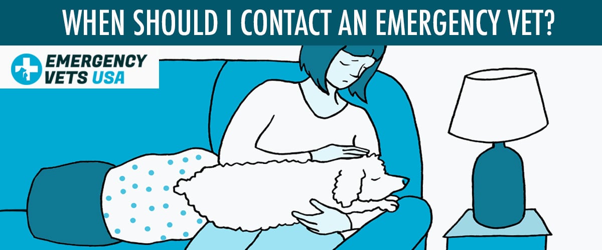 When Should You Call An Emergency Vet