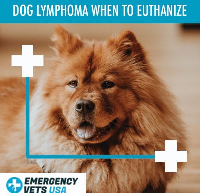 Lymphoma In Dogs When To Euthanize