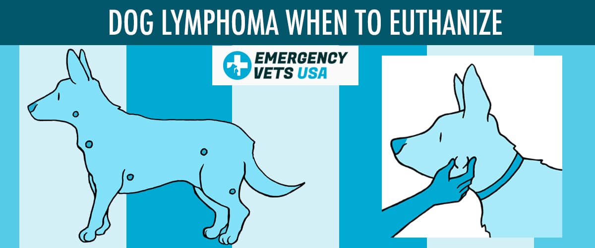 When To Euthanize A Dog With Lymphoma