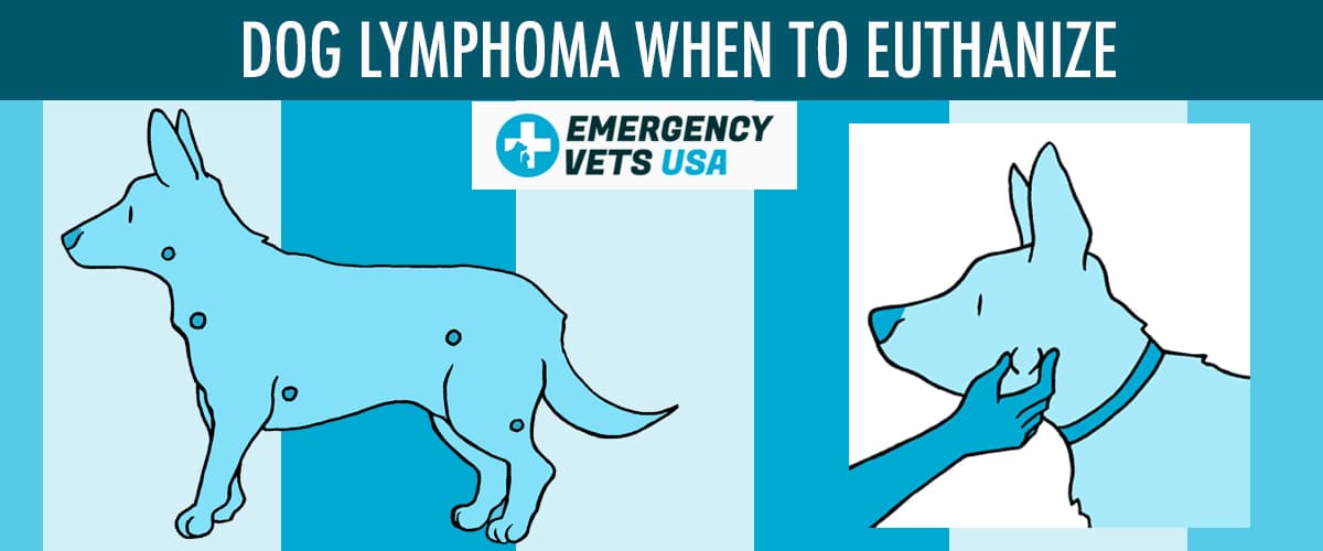 what is the life expectancy for a dog with lymphoma