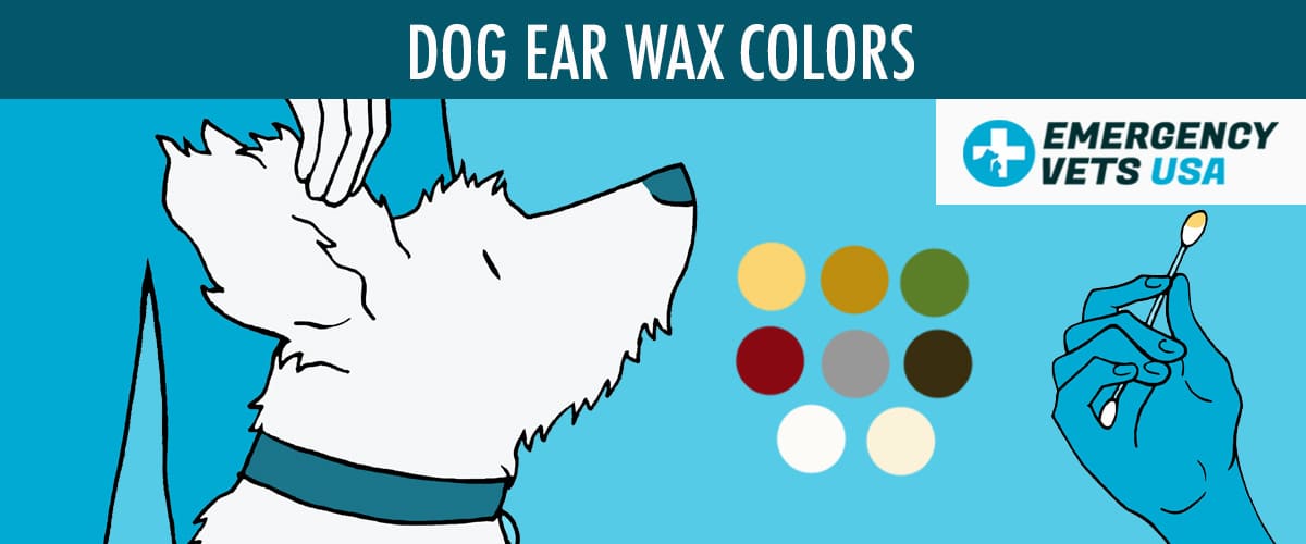 Dog Ear Wax Colors Chart