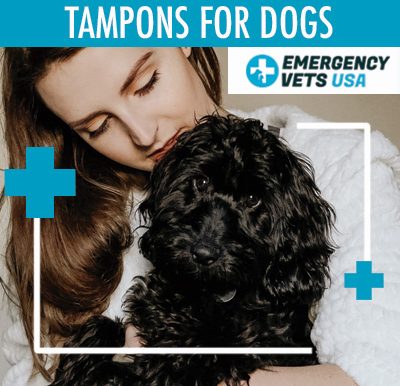 Tampons For Dogs