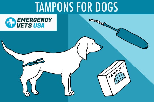 can dogs poop out tampons