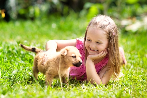 Girl playing with her puppy